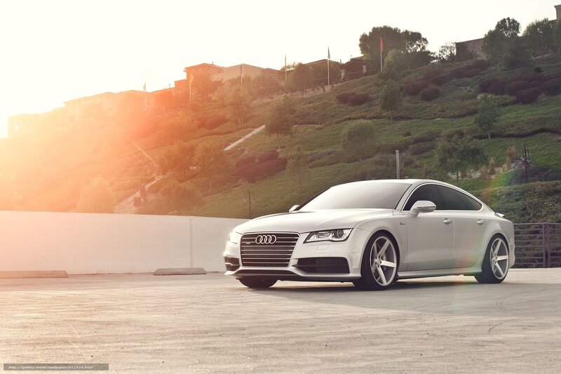 White Audi on a hillside
