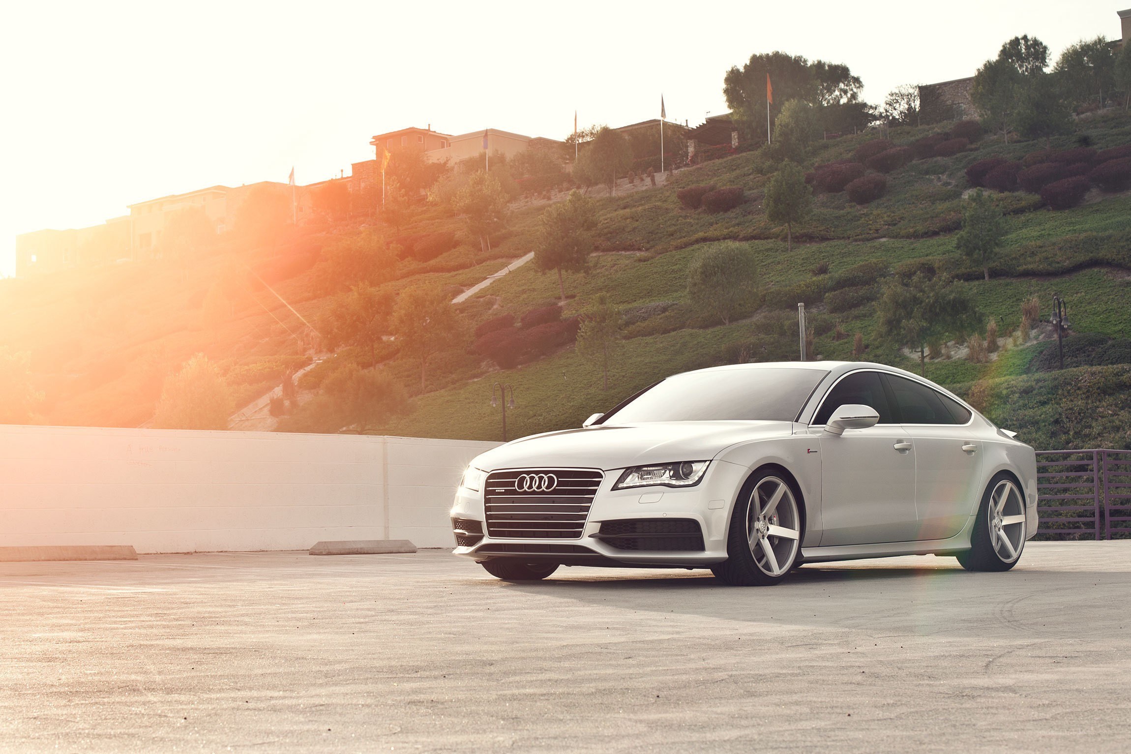 White Audi on a hillside