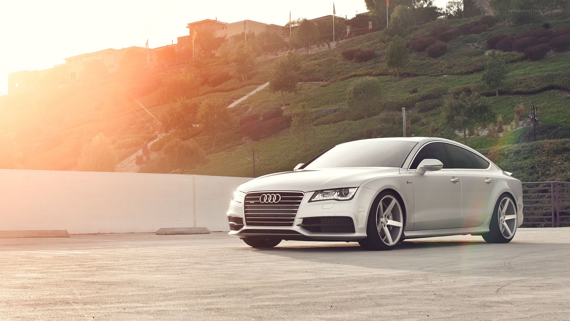 White Audi on a hillside
