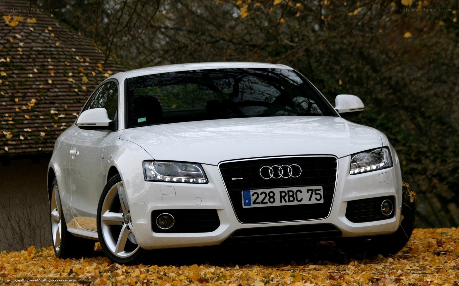 White Audi parked in autumn leaves