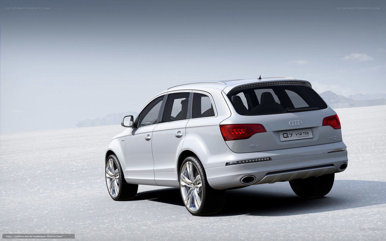 White Audi Q7 in desert