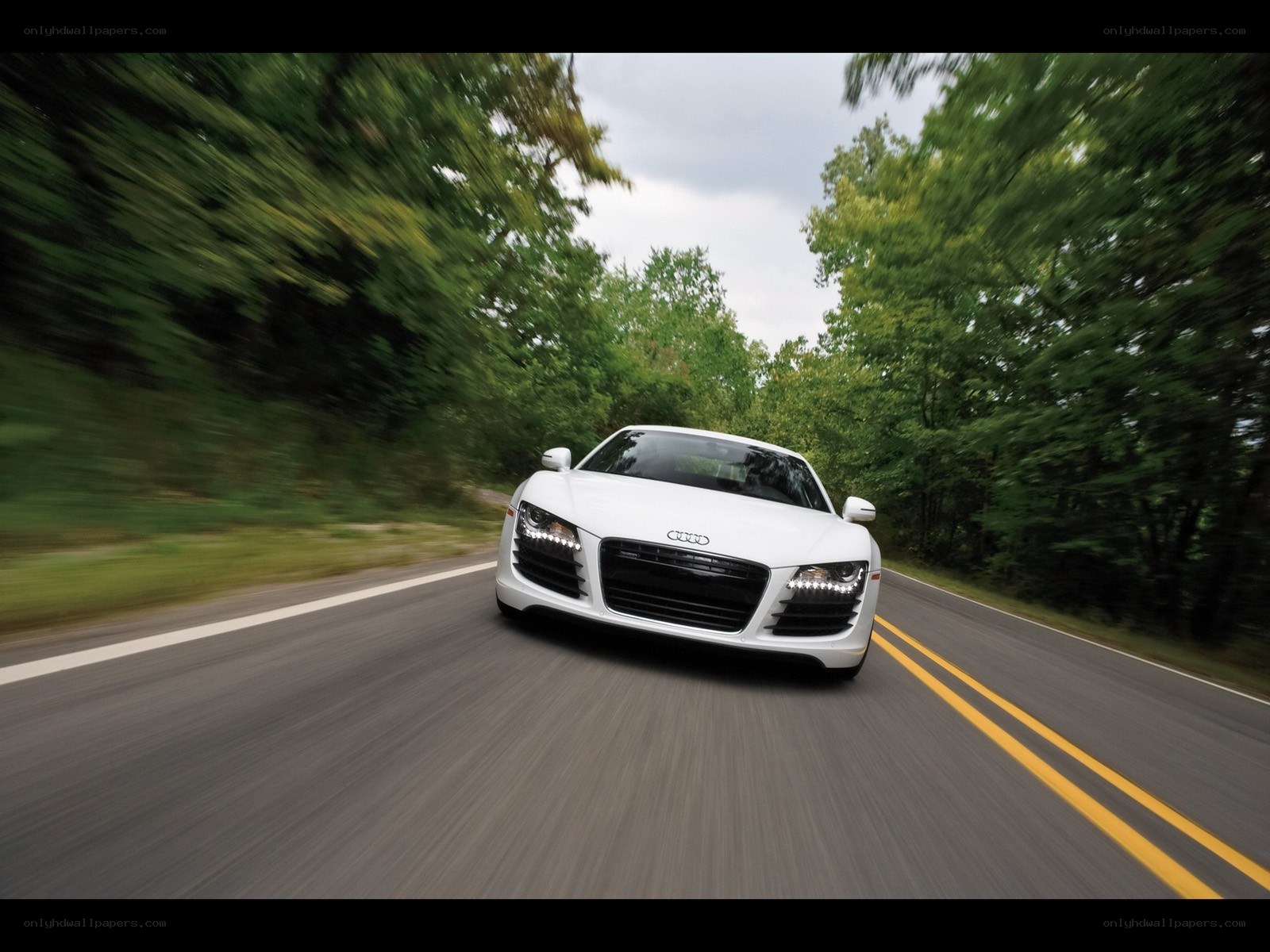 White Audi R8 on a forest road
