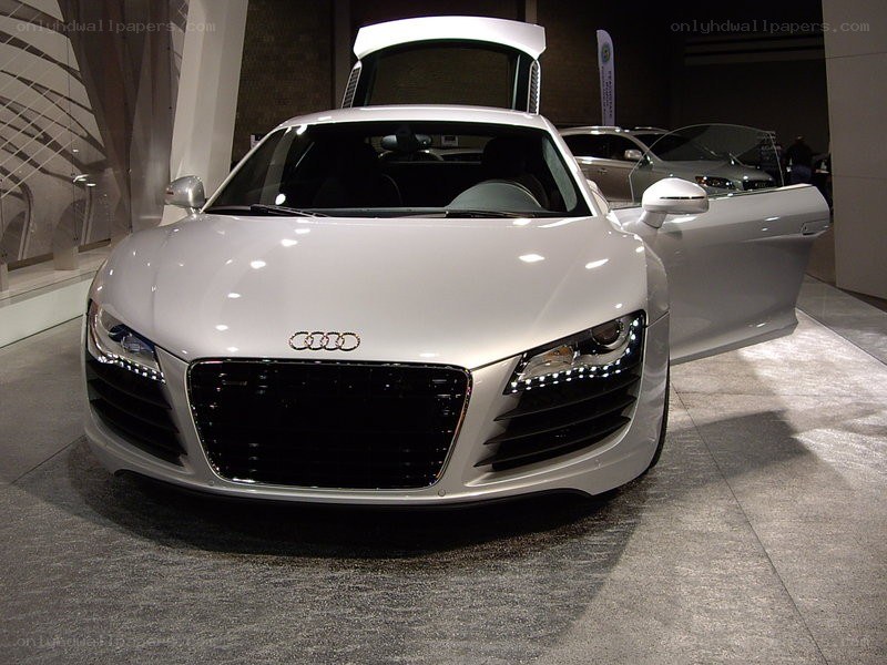 White Audi R8 on display