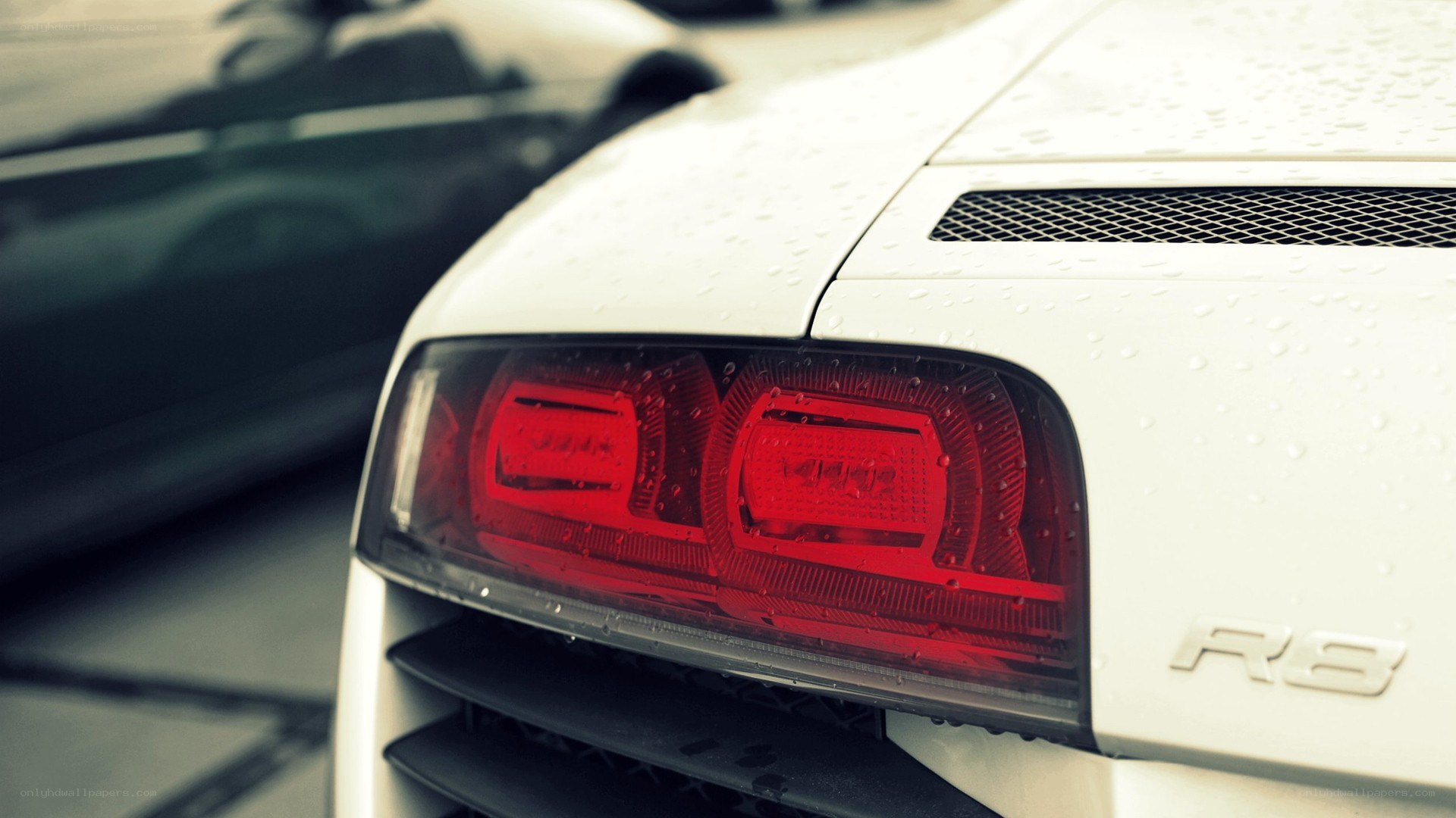 white audi r8 rear view