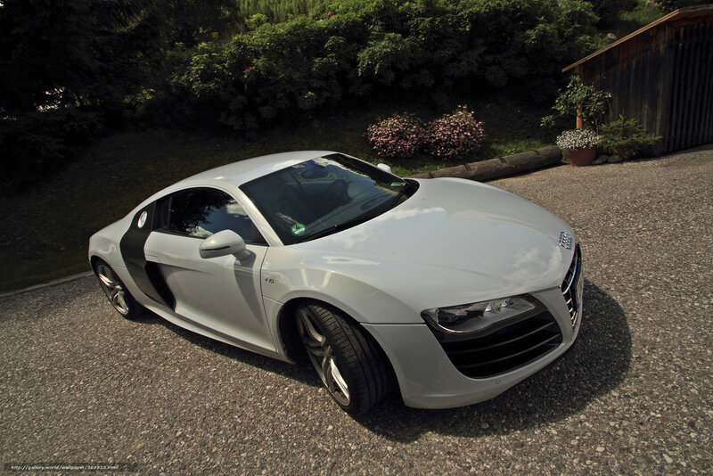 White Audi R8 sports car