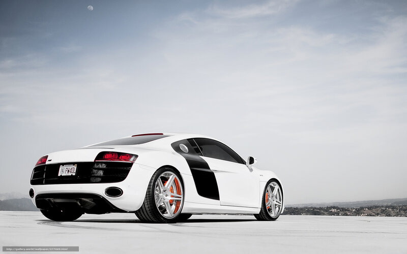 white audi r8 sports car