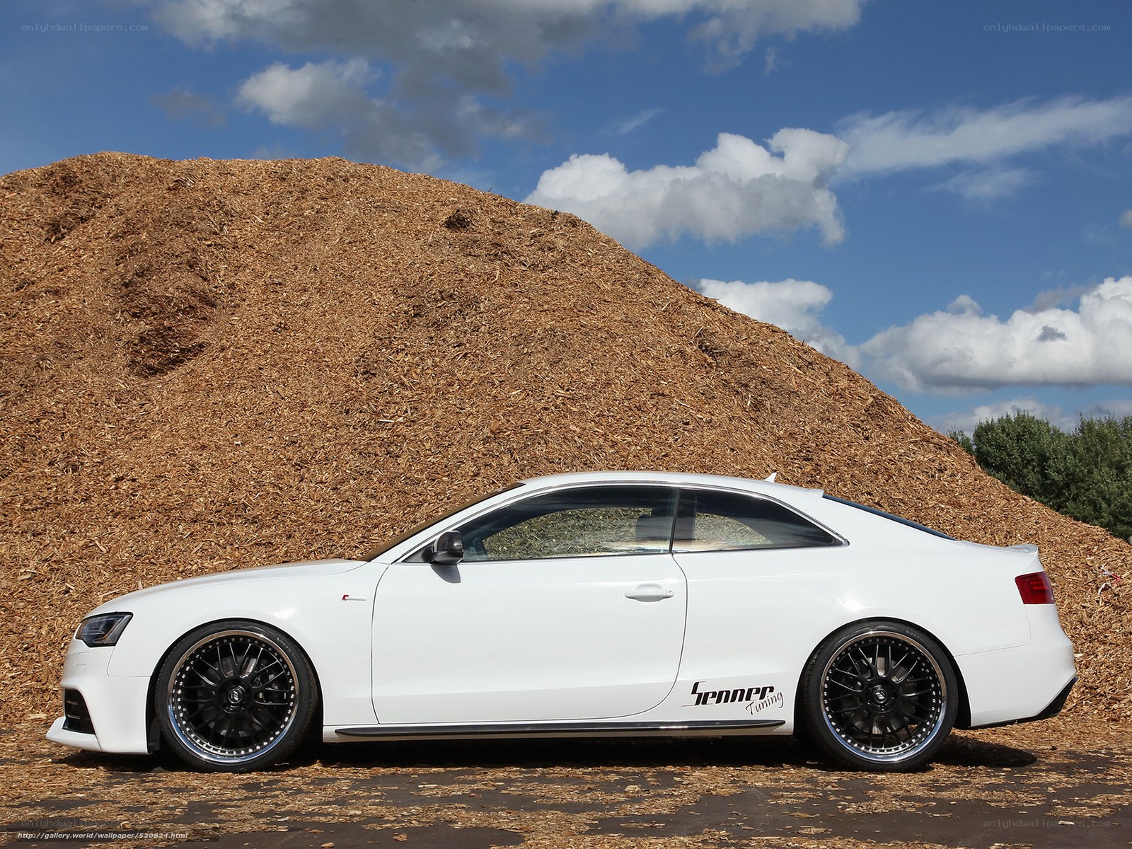 White Audi RS5 on wood chips
