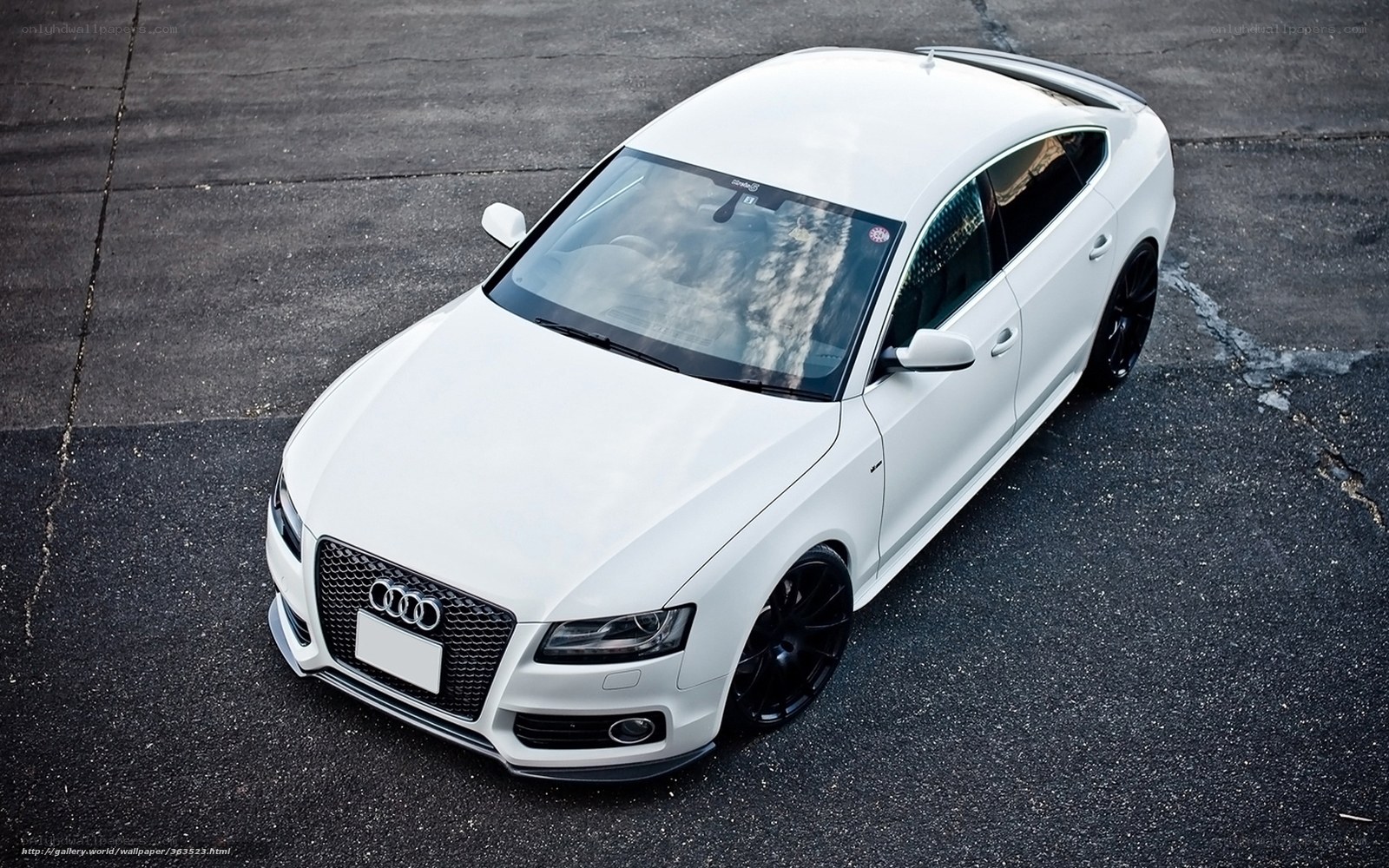 white audi sedan on asphalt