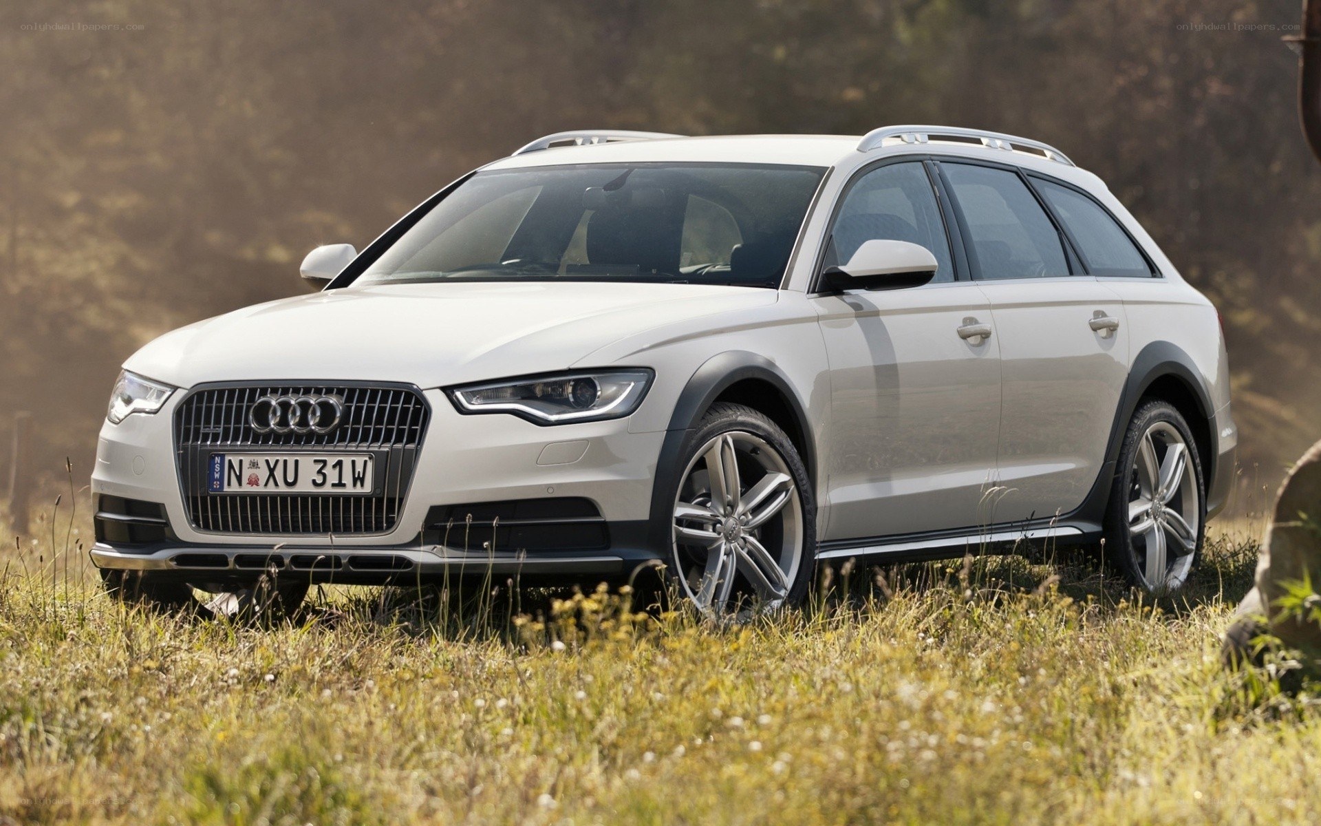 White Audi station wagon