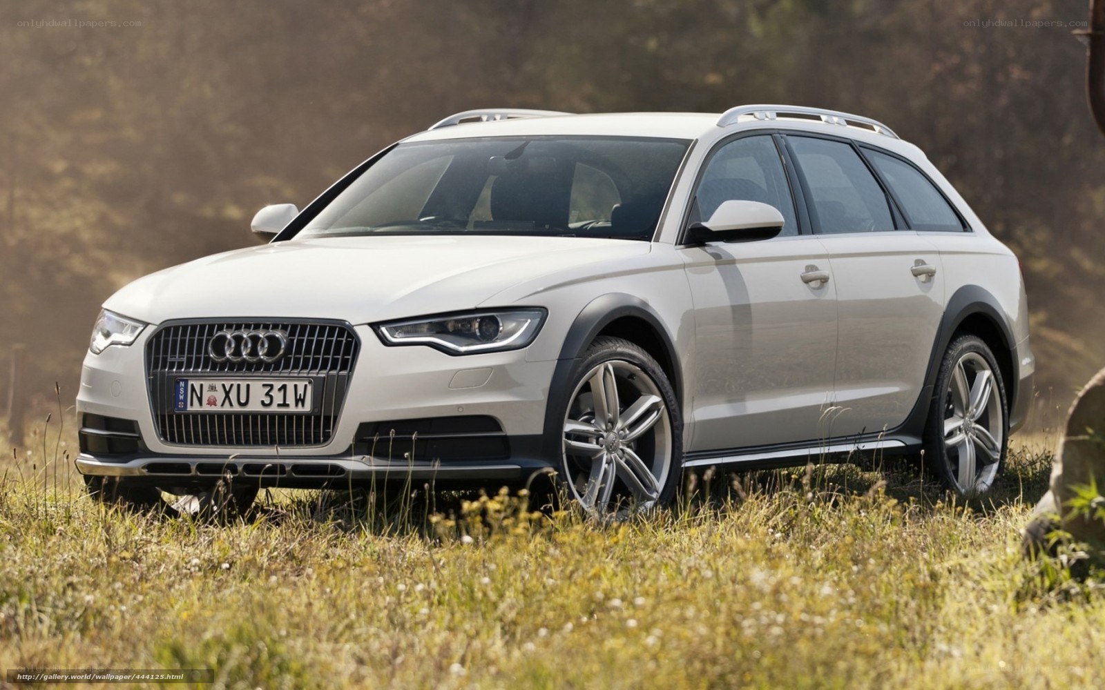 White Audi station wagon
