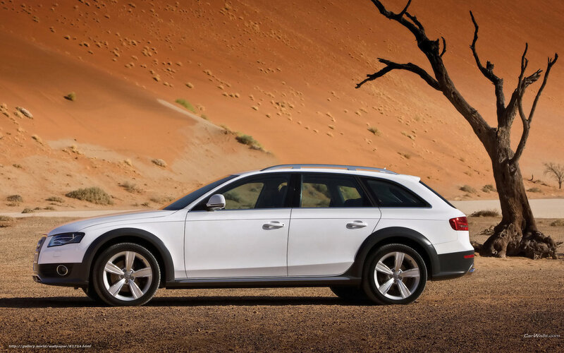 White Audi station wagon in desert