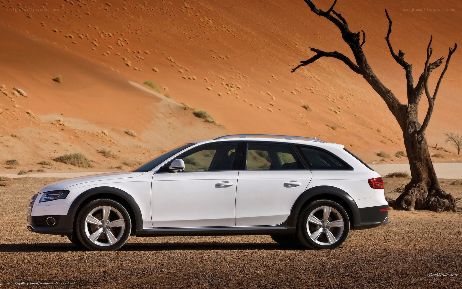 White Audi station wagon in desert
