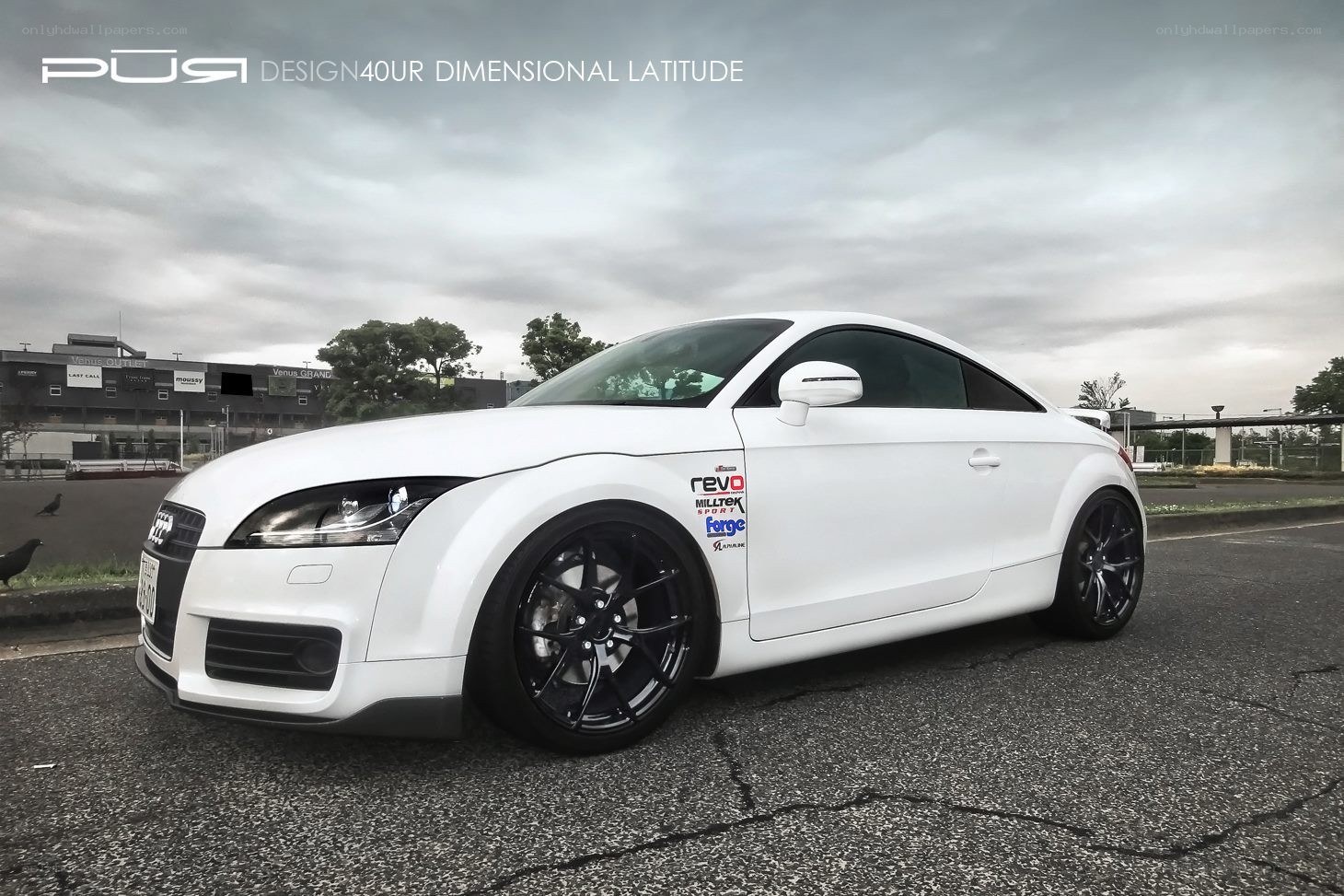 white audi tt coupe