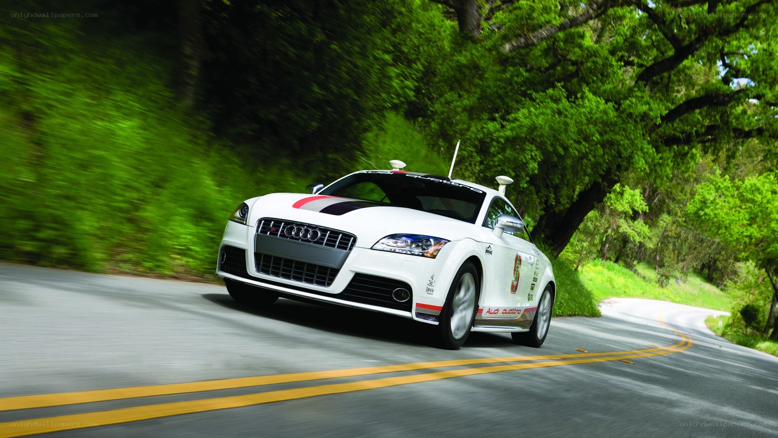 White Audi TT on a winding road