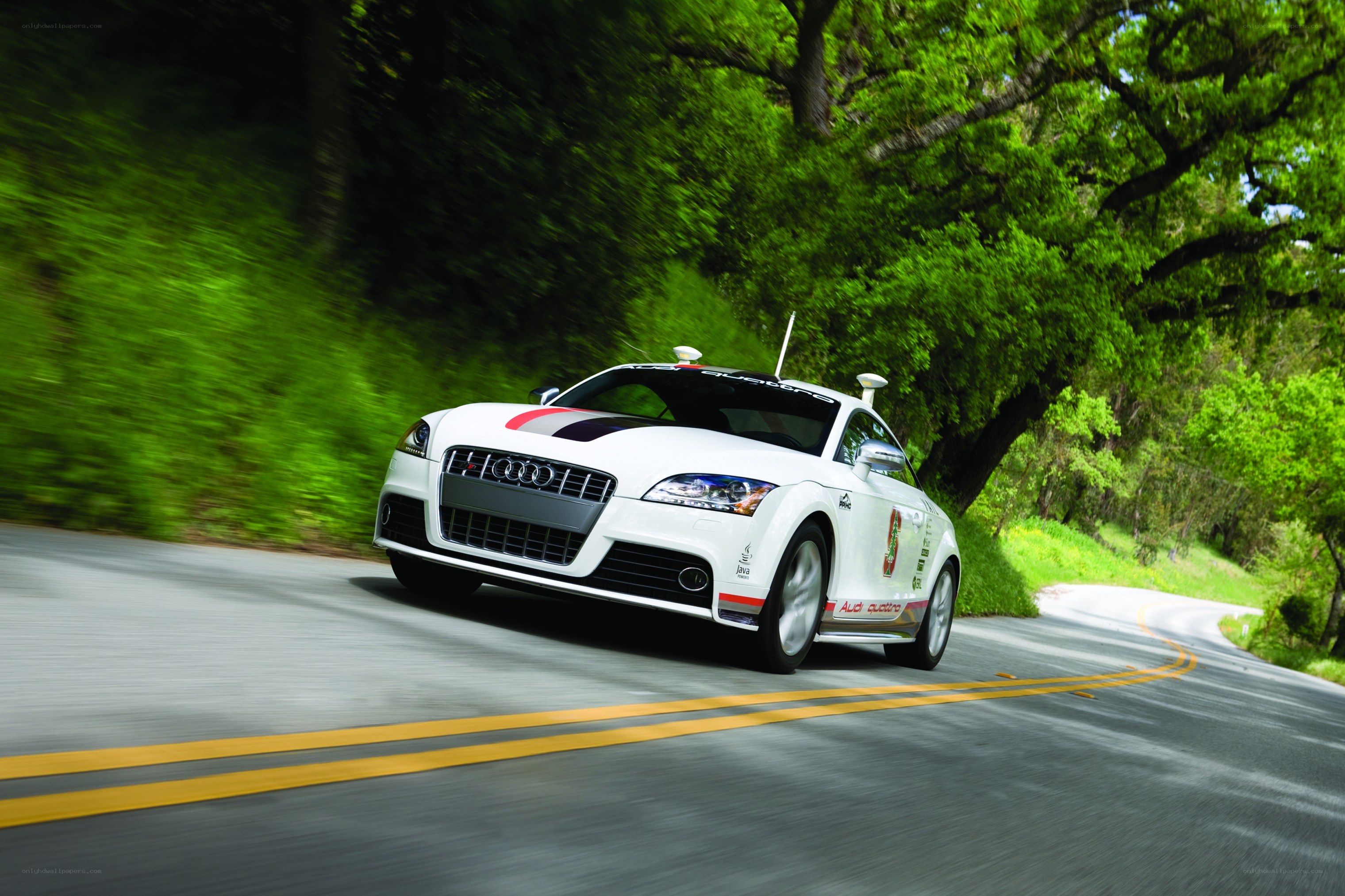 White Audi TT on a winding road