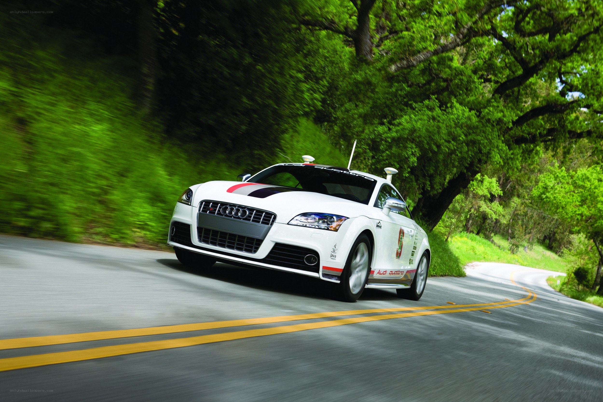 white audi tt on a winding road