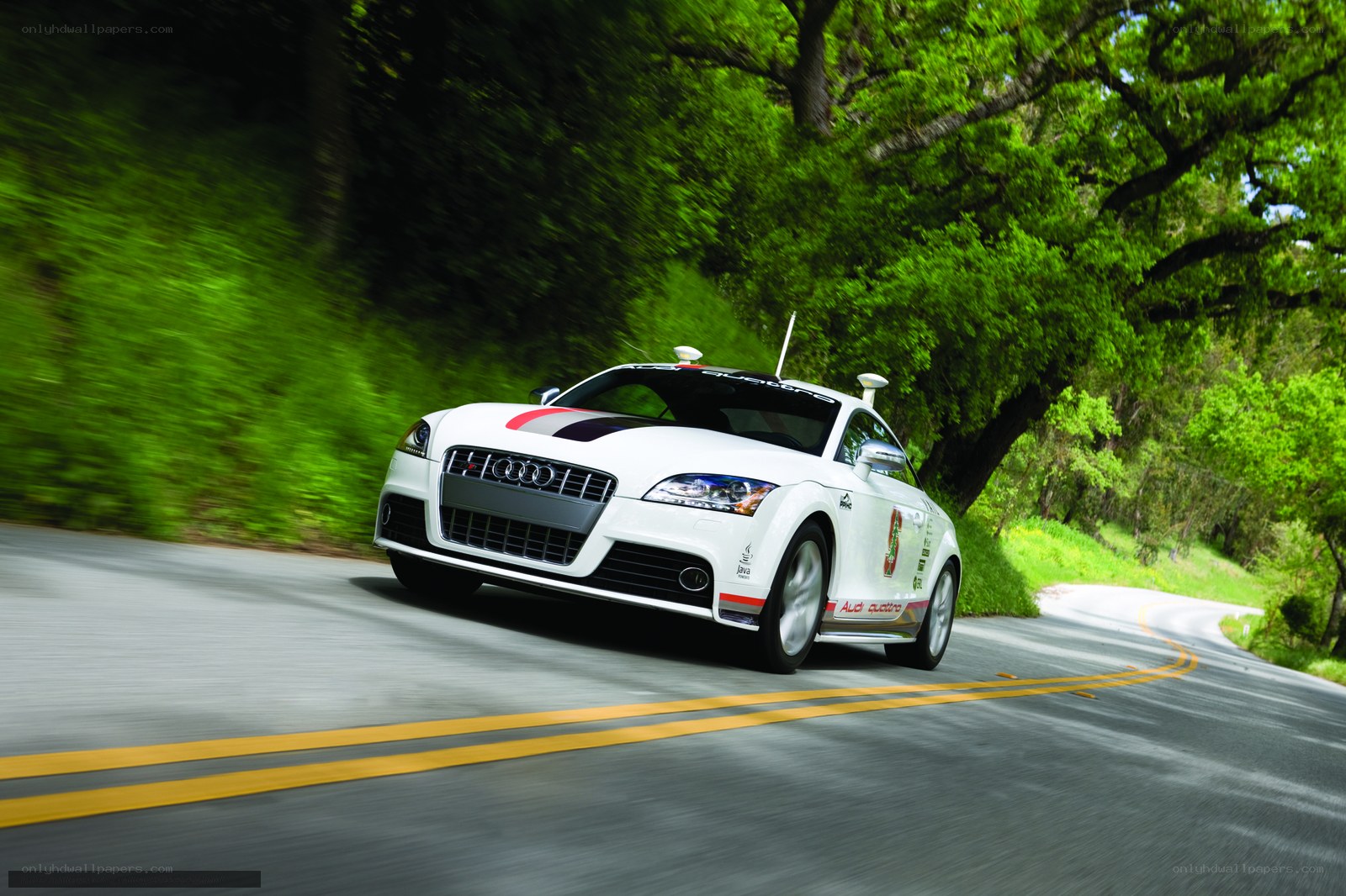 white audi tt on winding road