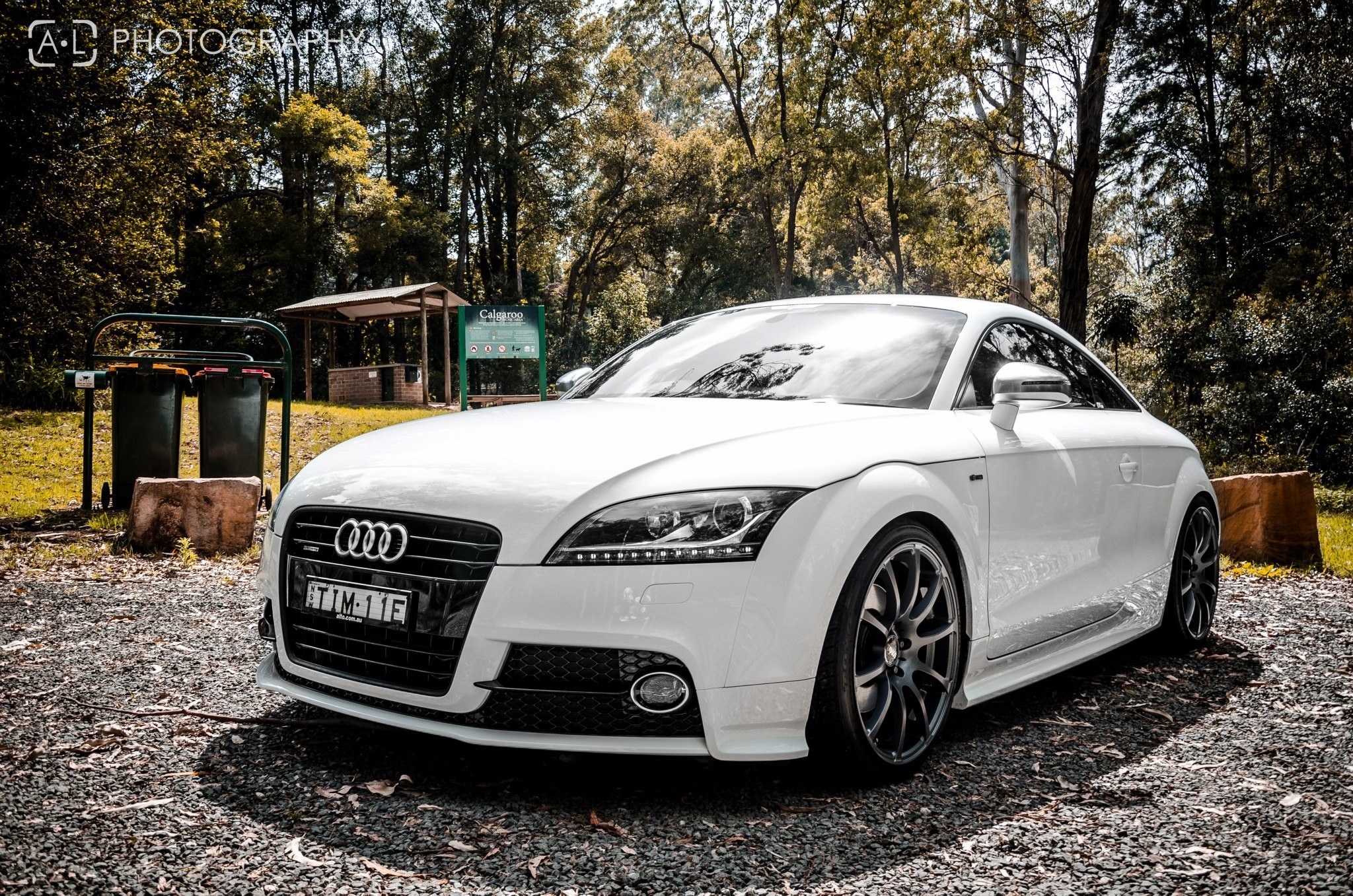 White Audi TT parked in forest