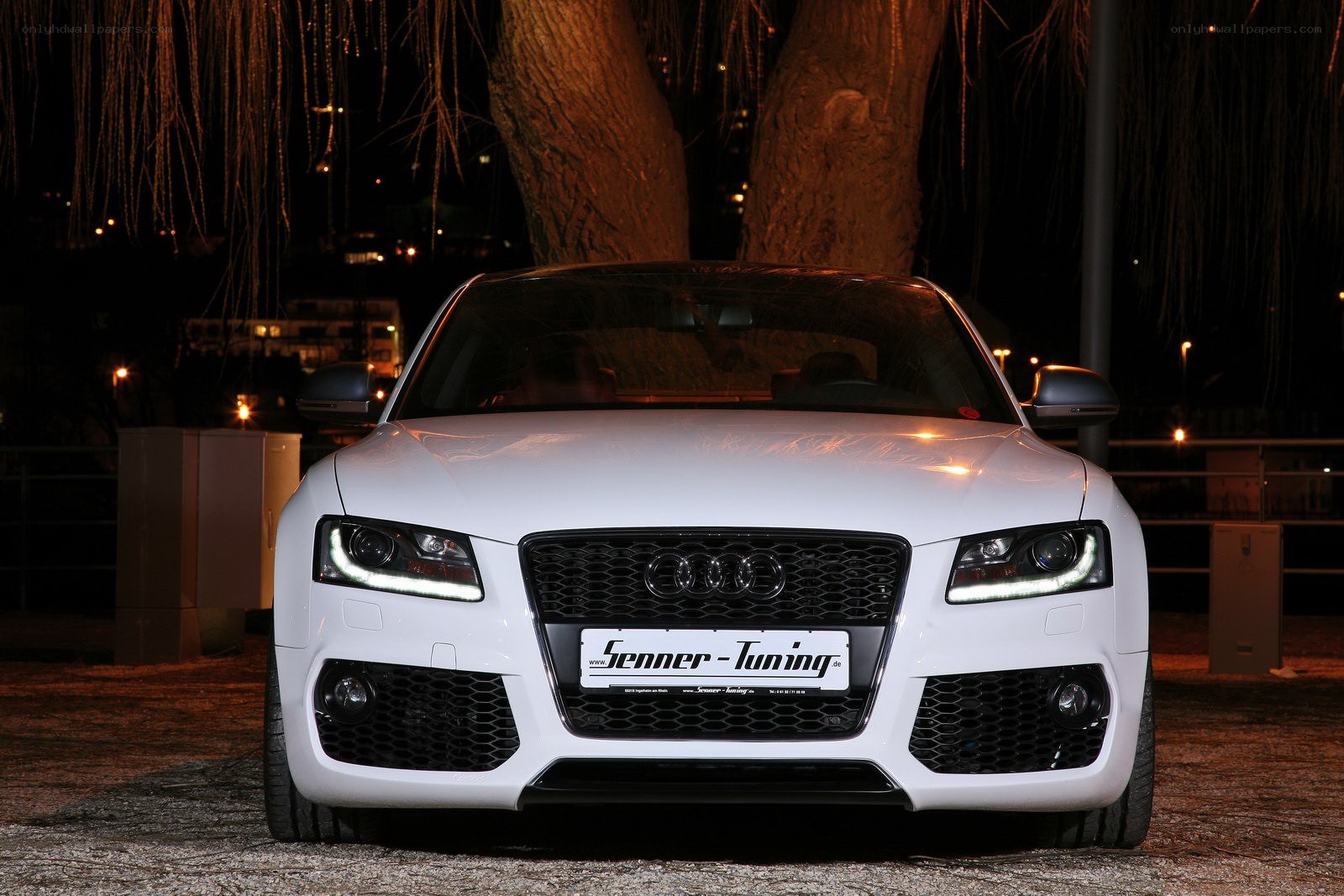 White Audi with Senner Tuning