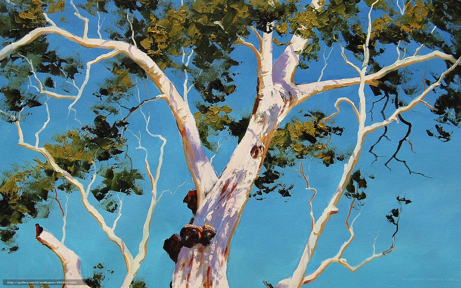 White-barked tree against blue sky