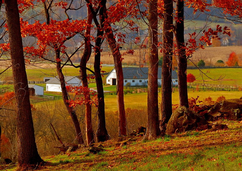 White Barn in Autumn Field