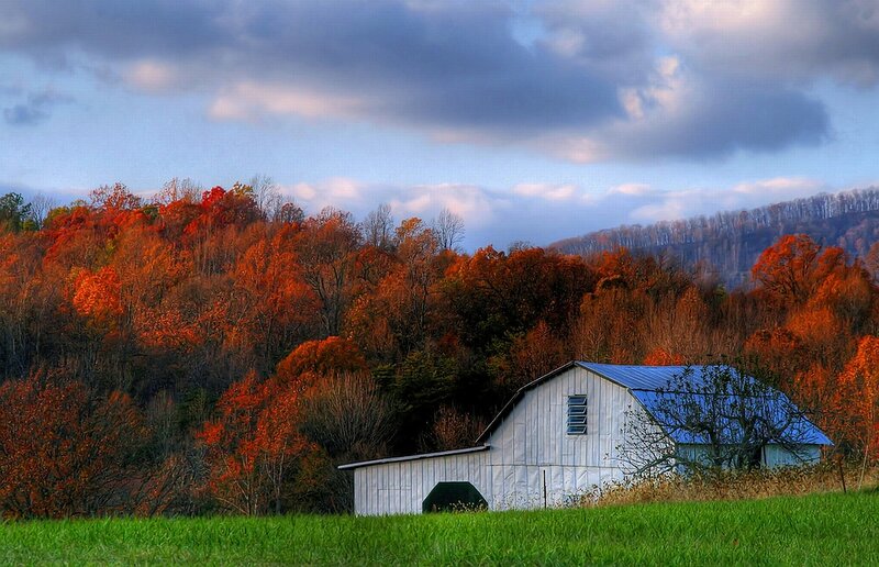 White Barn in Autumn — Green