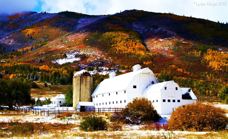 White Barn in Autumn — Serene