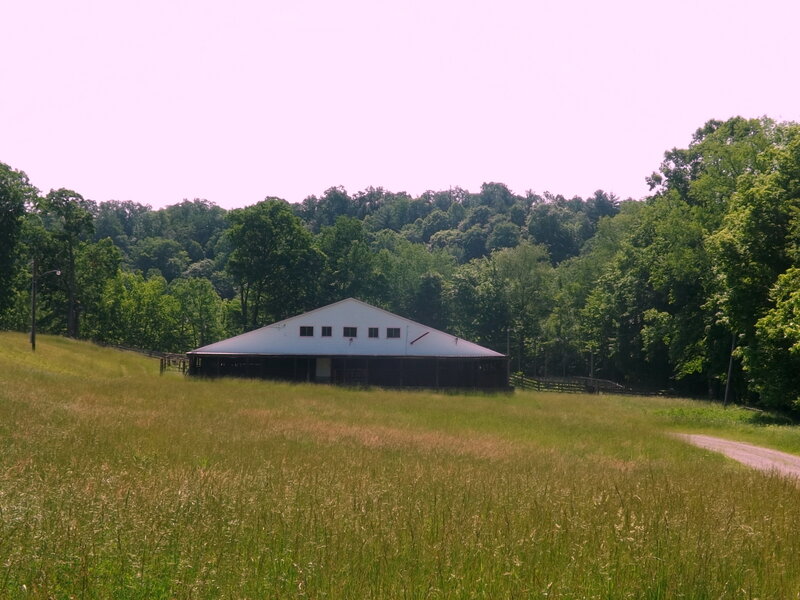 White Barn in Field — Green, Serene, Afternoon