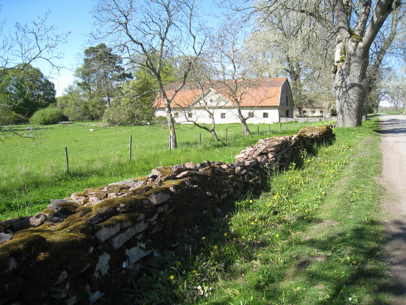 White Barn in Field — Green, Serene, Spring