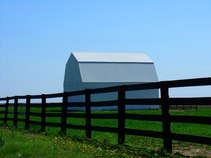 White Barn in Field — Green, Serene