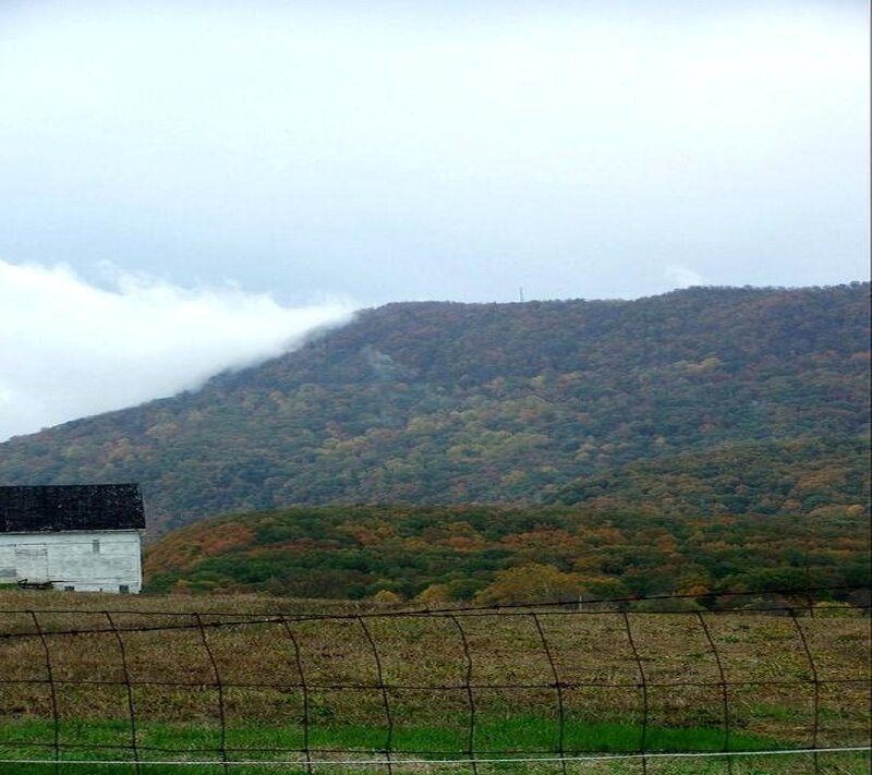 White Barn in Field — Green