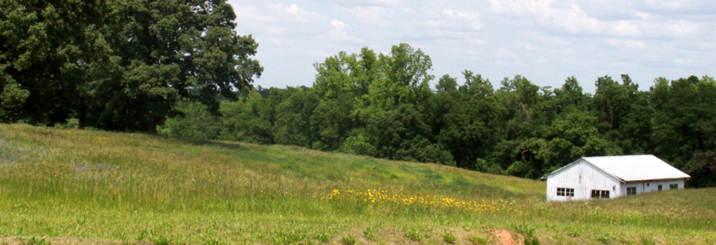 White barn on a grassy hill