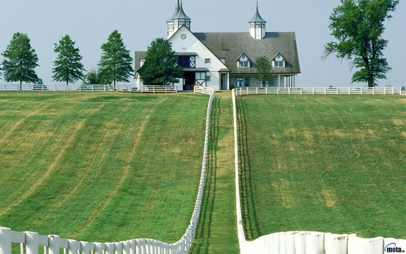 White Barn on Hill