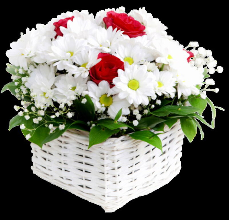 White Basket with Flowers — Calm