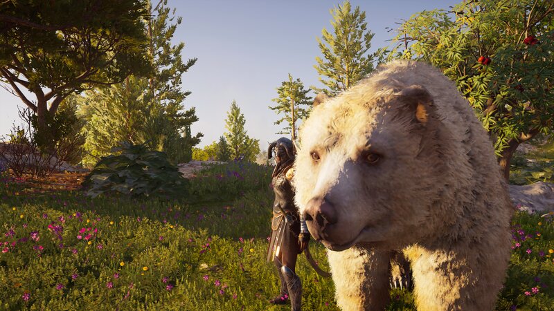 White Bear and Warrior