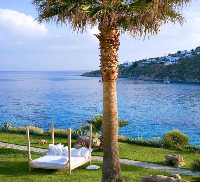 White Bed under Palm Tree