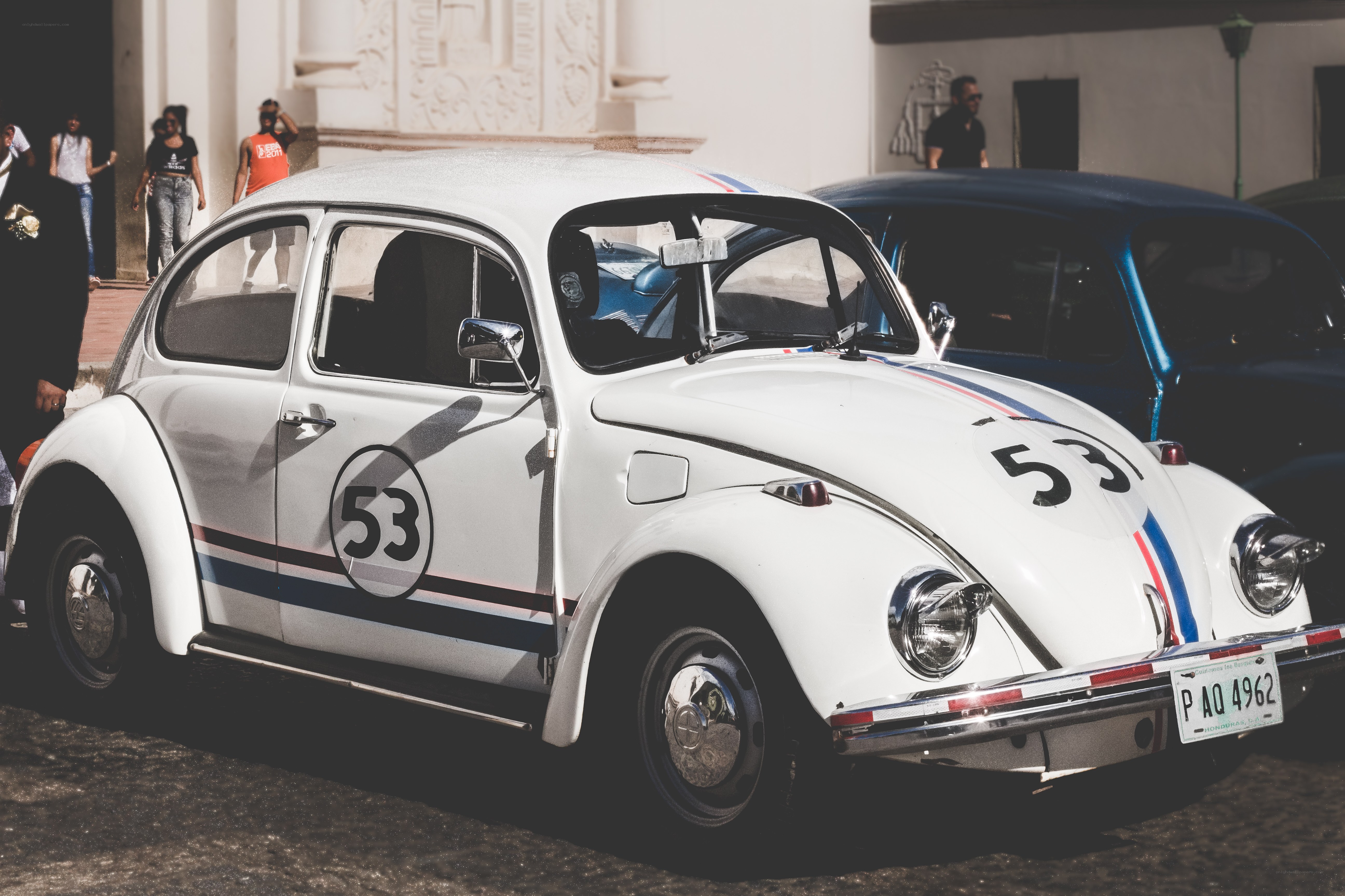 White Beetle with Number 53