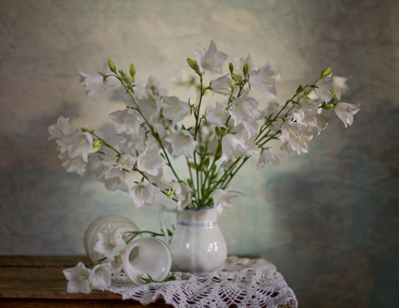 White Bell Flowers in Vase