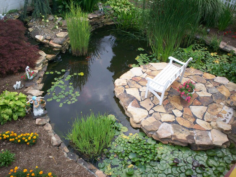 White Bench by Pond
