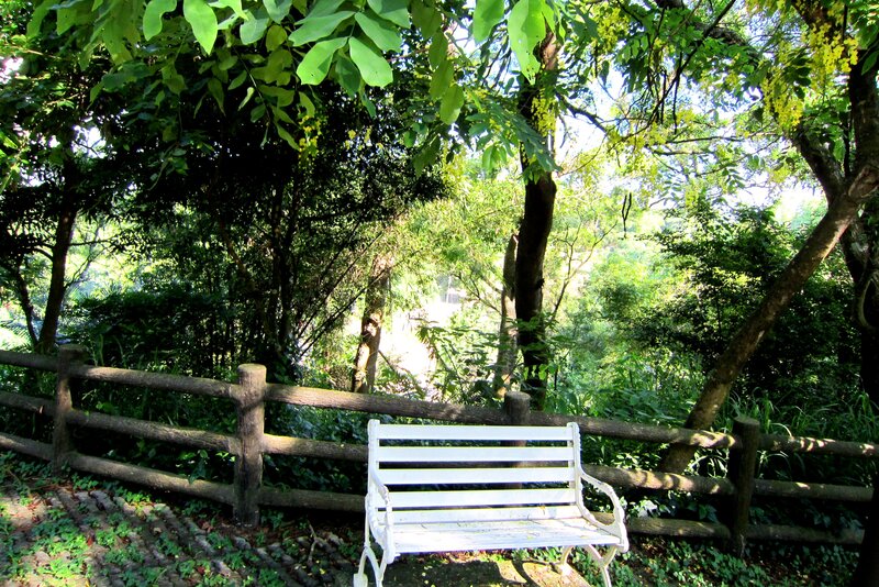 White Bench in Forest — Green