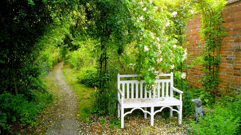White Bench in Garden — Green, Serene, Afternoon, Photograph, Brick Wall