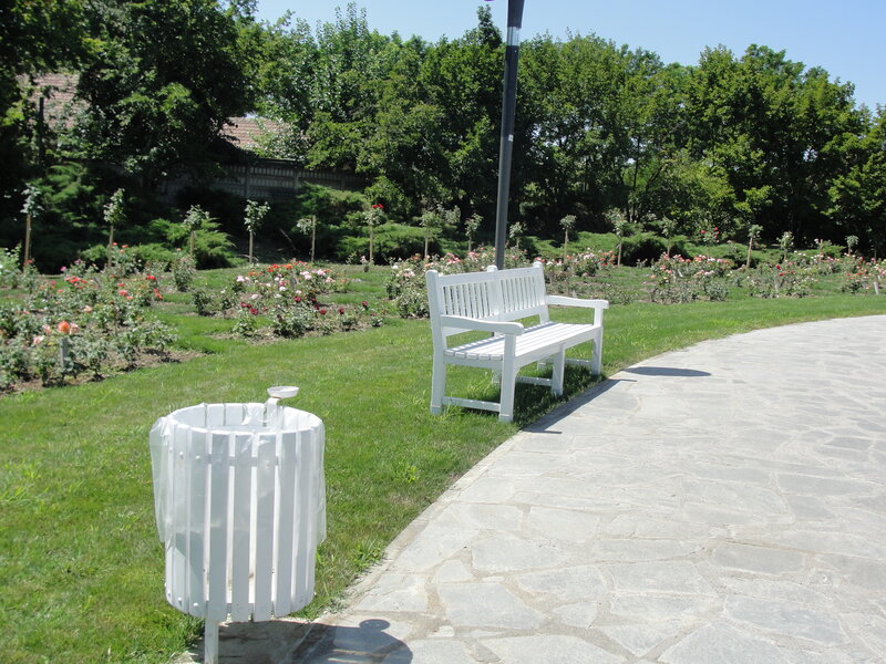 White Bench in Garden — Green, Serene, Afternoon, Photograph