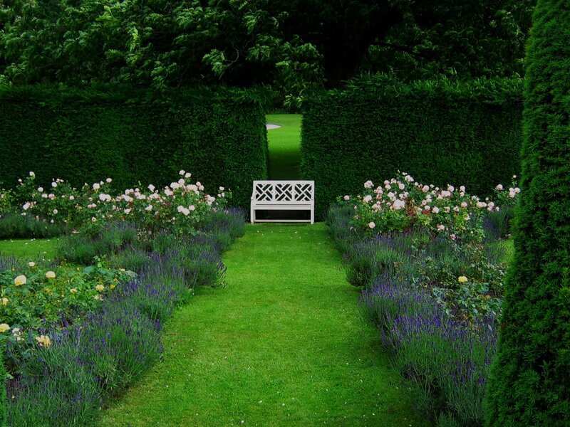 White Bench in Garden — Green, Serene, Afternoon