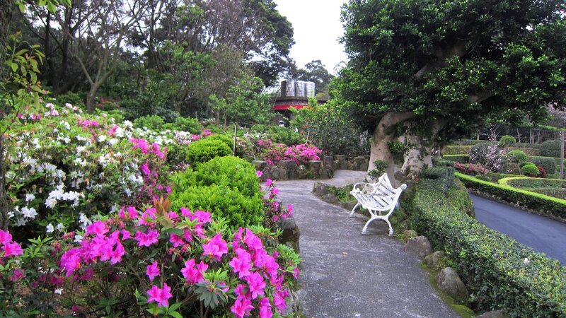 White Bench in Garden — Green, Serene, Spring