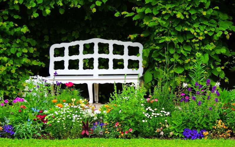 White Bench in Garden — Green, Serene, Summer