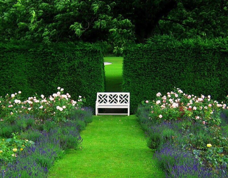 White Bench in Garden — Green