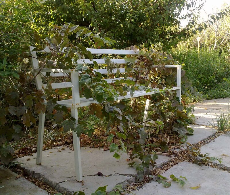 White bench in garden