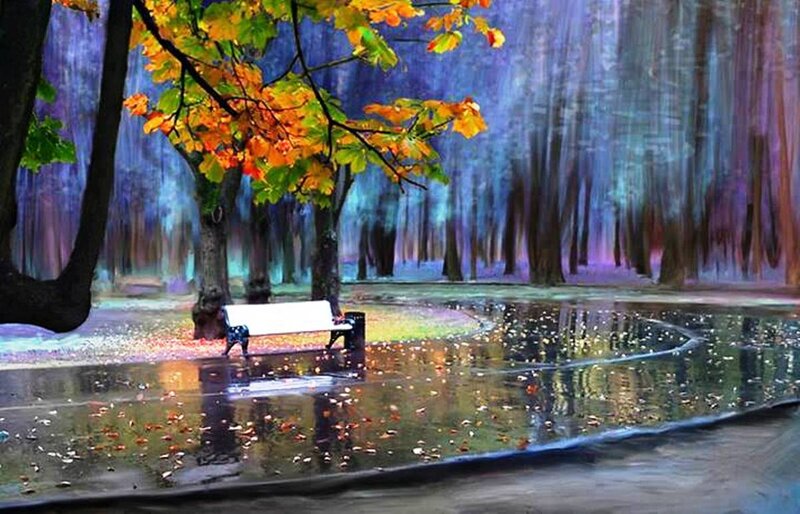 White Bench in Park — Blue