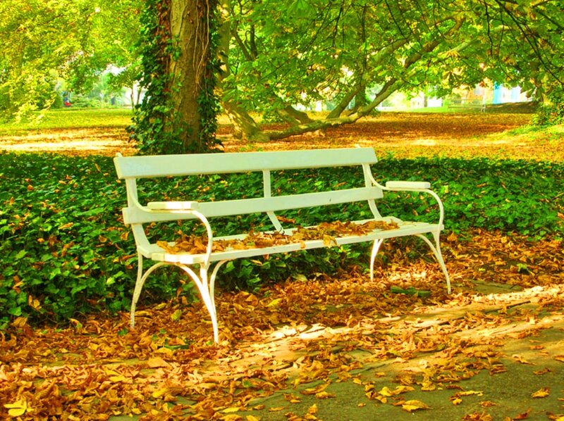 White Bench in Park — Green