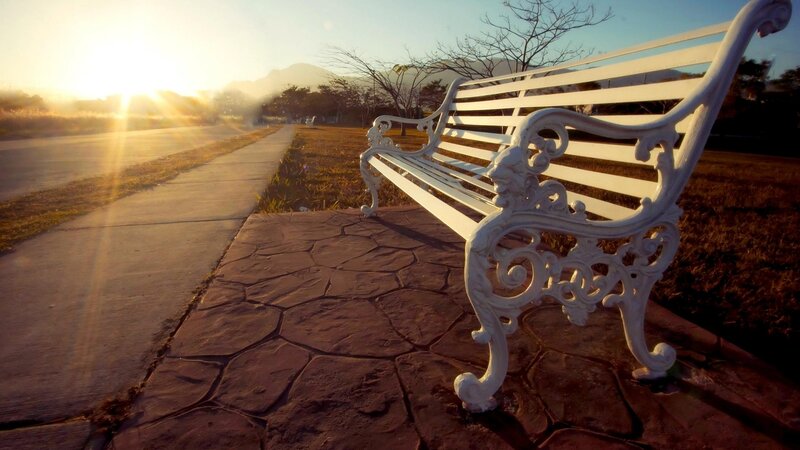 White Bench in Park — Serene